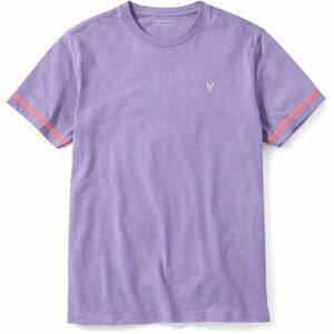 American Eagle Lavender Tee L Standard Fit Striped Sleeve T-Shirt